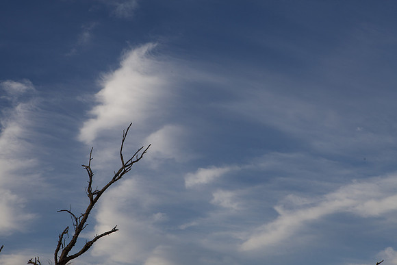 BolsaChica-2012-8759