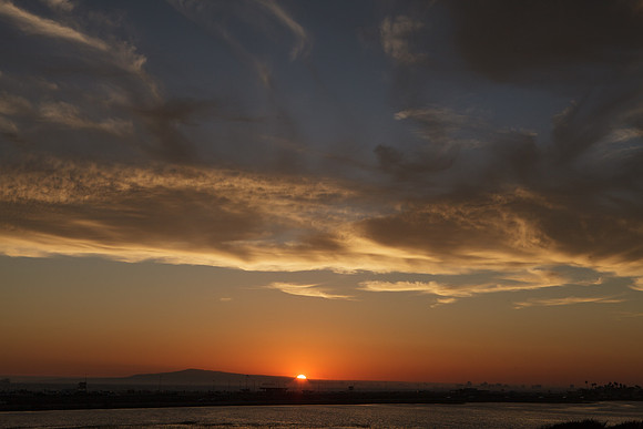 BolsaChica-2012-8832