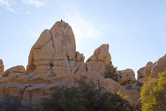 joshuatree09-2252