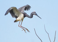 Glide on in....