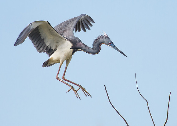 Glide on in....