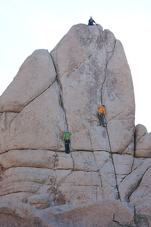 joshuatree09-0455