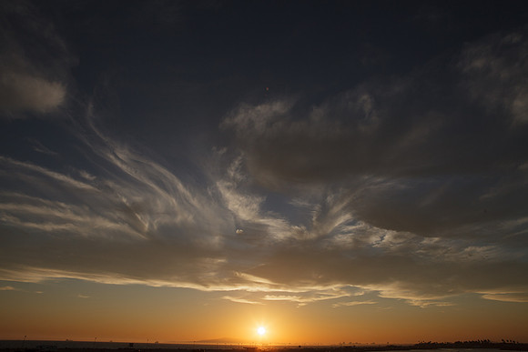 BolsaChica-2012-8814