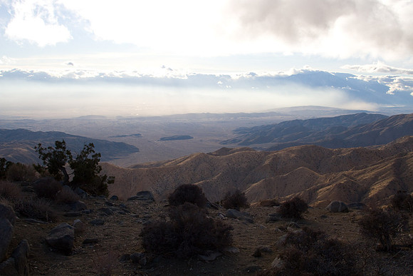 joshuatree09-2298