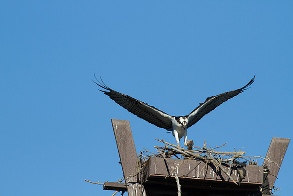 San Joaquin2012-5490