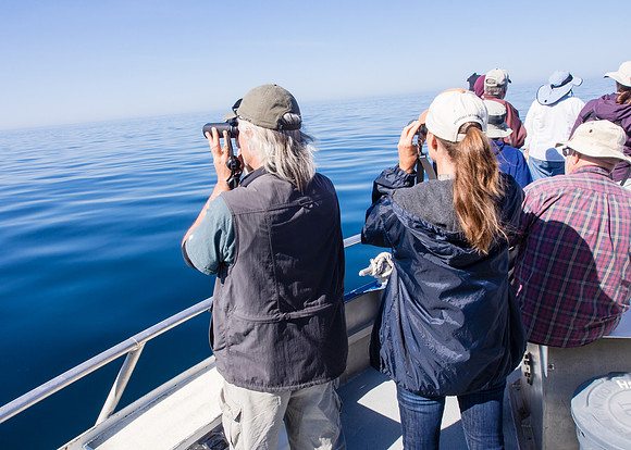 Spring Pelagic Trip