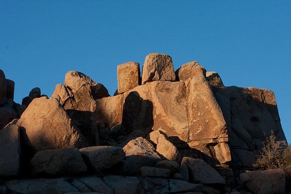 joshuatree09-0598