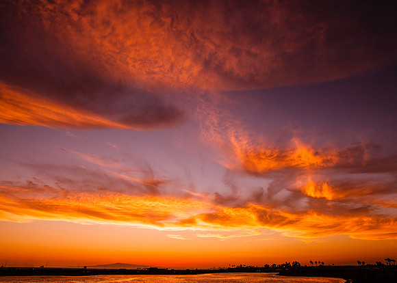 BolsaChica2012-8851