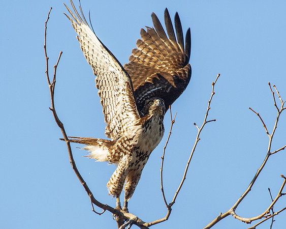 Time for Lift off.....