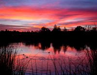 Morning artistry