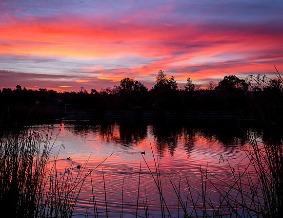 Morning artistry