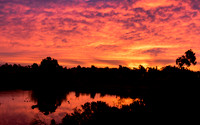 san joaquin2014-6232