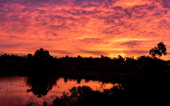 san joaquin2014-6232