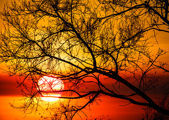 Thursdays end......