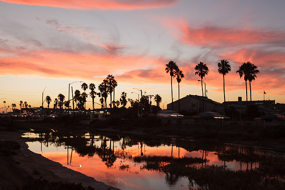 BolsaChica-2012-8872