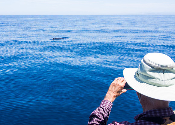 Spring Pelagic Trip