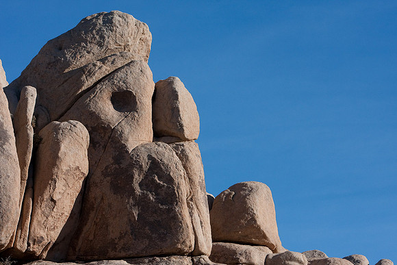 joshuatree09-0470