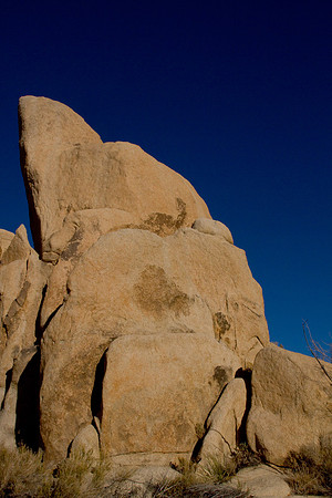 joshuatree09-2563