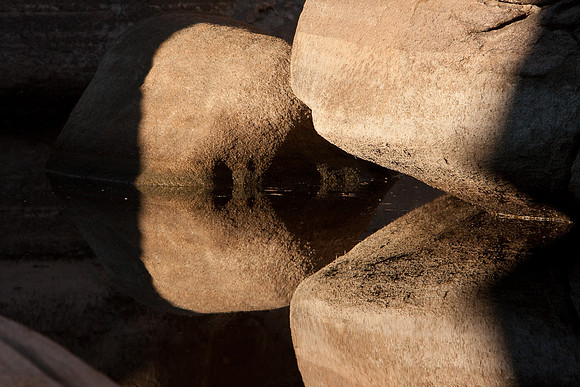 joshuatree09-0652