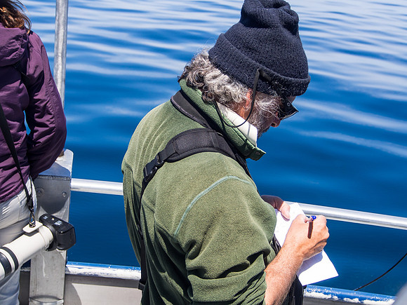 Spring Pelagic Trip