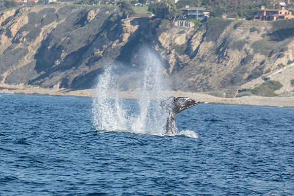LA-San Pedro-2015-0101