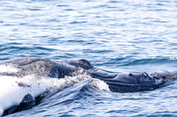 LA-San Pedro-2015-9828