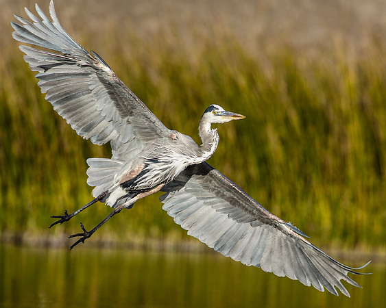 Smooth Landing