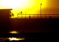 BolsaChica-5832