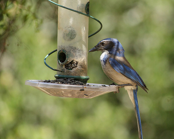 TuckerWS-2013-0638