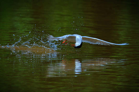 In flight flexibility