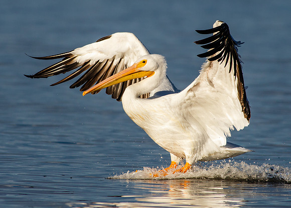 Smooth Landing.....