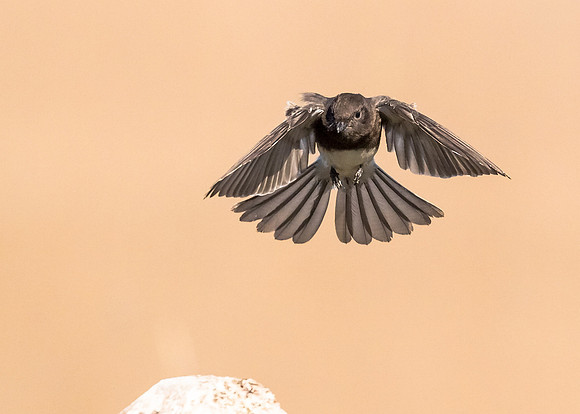 Landing