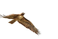 Sd-Lakehodges-2012-4298