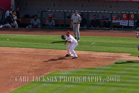 angels-yanks-5099