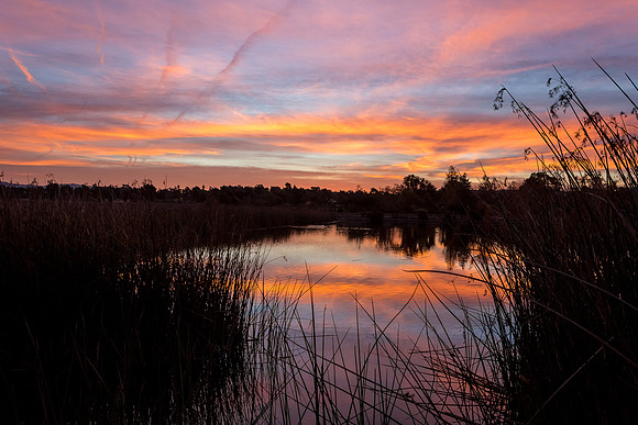 SanJoaquin-2015-0555