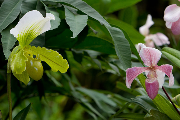 La-arboretum-16