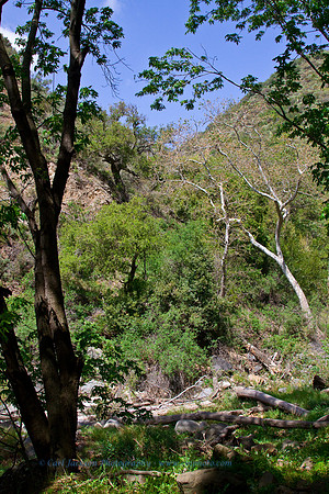 falls-cnyn-6982