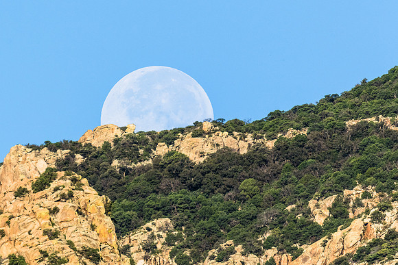 Morning  Moonset