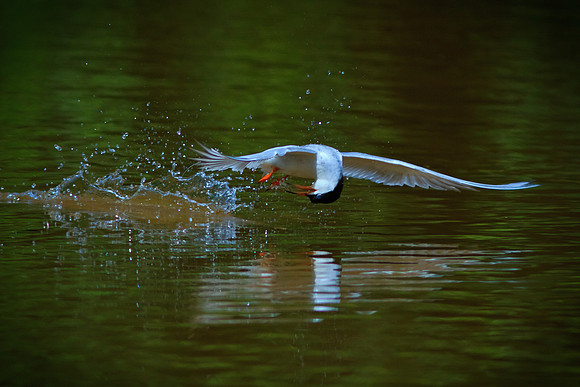 In flight flexibility
