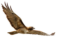 I wanna fly away.....
