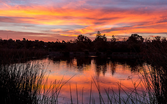 Predawn Colors