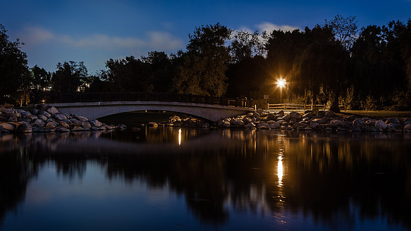 Night Light