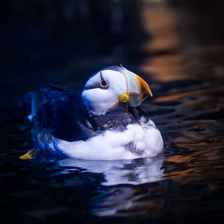 LB-Aquarium-9435-Edit