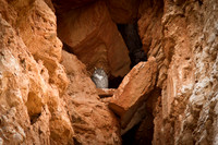RedRockCyn-8785