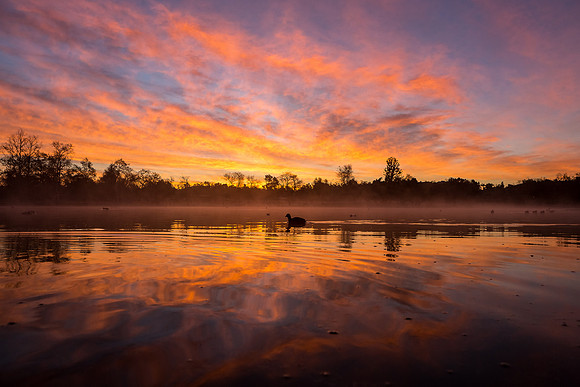 Cruising at dawn.....