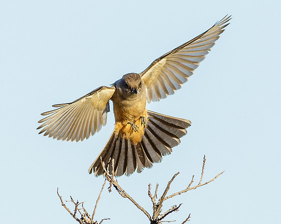On Final Approach