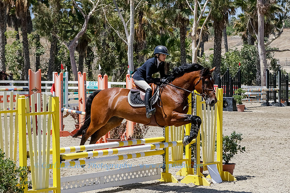 OC-HB Central Park-0716-0796