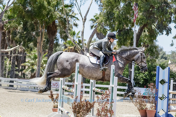 OC-HB Central Park-0716-1393