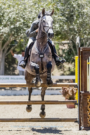 OC-HB Central Park-0716-1386