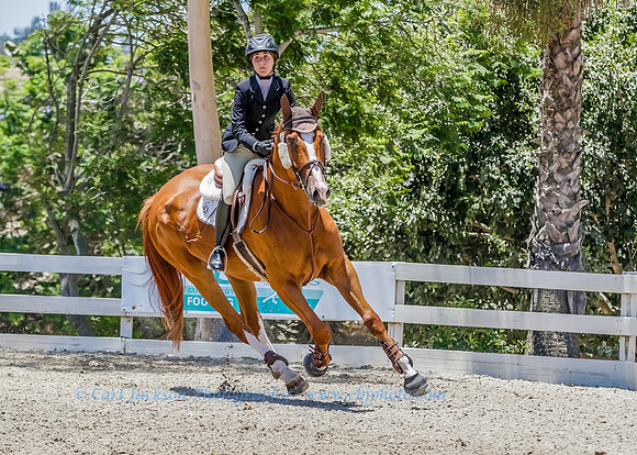 OC-HB Central Park-0716-1773